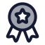 Staraward icon with duotone rounded style
