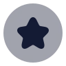 Star Circle icon preview