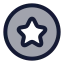 Starcircle icon with duotone rounded style