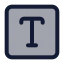 Textsquare icon with duotone standard style