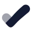 Tick icon with bulk rounded style