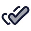 Tickdouble icon with duotone rounded style