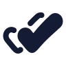 Tick Double 03 icon preview