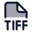 Tiff icon with duotone standard style