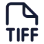 Tiff icon with stroke standard style