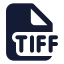 Tiff icon with solid standard style