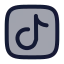 Tiktok icon with duotone rounded style