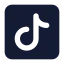 Tiktok icon with solid standard style