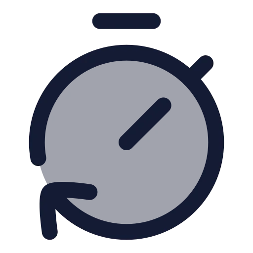 Timer Reset Icon in Duotone Rounded style