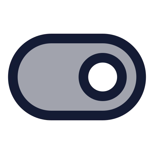 Toggle Right Icon in Duotone Rounded style