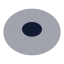 Torus icon with bulk rounded style