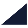 Triangle Right icon preview