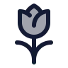 Tulip icon preview