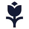 Tulip icon preview