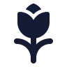 Tulip icon preview