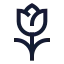 Tulip icon with stroke sharp style
