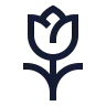 Tulip icon preview