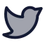 Twitter icon with duotone rounded style