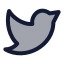 Twitter icon with duotone standard style