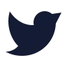 Twitter icon preview