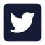 Twittersquare icon with solid standard style