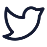 Twitter icon preview