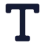 Typeoutline icon with solid standard style