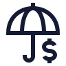 Umbrella Dollar icon preview