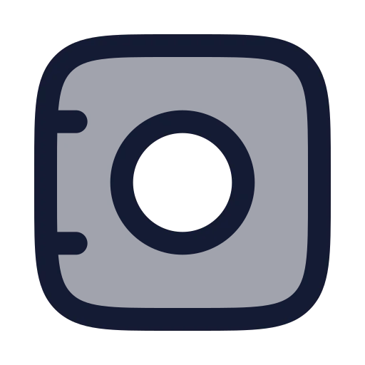 Vault Icon in Duotone Rounded style