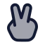 Victoryfinger icon with duotone rounded style