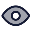 View icon with duotone rounded style