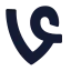 Vine icon with solid standard style