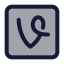 Vinesquare icon with duotone standard style