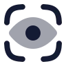 Vision icon preview