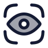 Vision icon preview