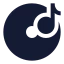 Vynil icon with solid sharp style