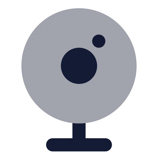 Webcam Icon in Bulk Rounded style