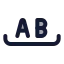 Wholeword icon with duotone standard style