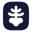 Xray icon with solid rounded style