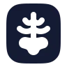 X Ray icon preview