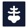 X Ray icon preview