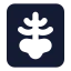 Xray icon with solid standard style