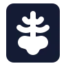 X Ray icon preview