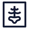 X Ray icon preview