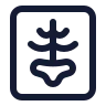 X Ray icon preview