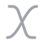 Xvariable icon with duotone rounded style
