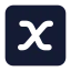 Xvariablesquare icon with solid standard style