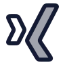 Xing icon preview