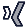 Xing icon preview