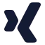Xing icon with solid rounded style